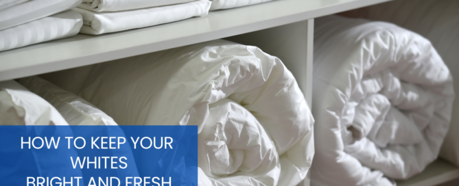 Laundry whites